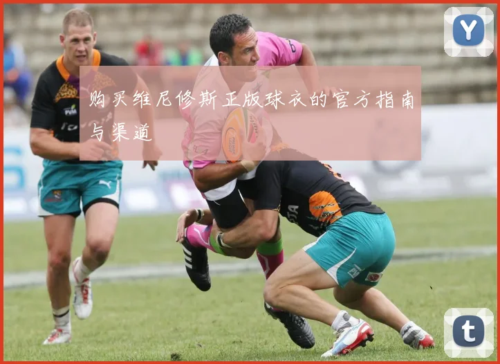 购买维尼修斯正版球衣的官方指南与渠道